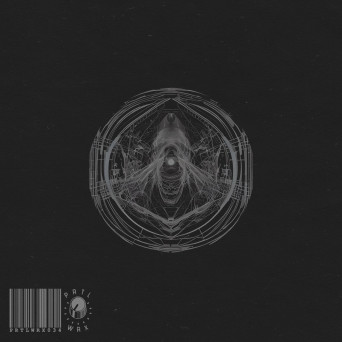 Anton Fedotov – 300 Days EP