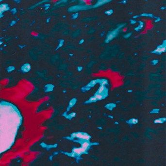 Vhyce – then we vanished