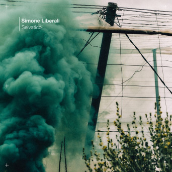 Simone Liberali – Selvatico