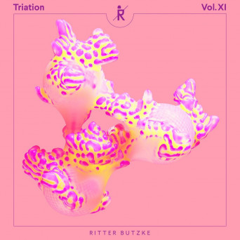 VA – Triation, Vol. XI