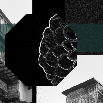 Yrsen – Black Dahlia