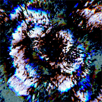 Bønehead – Quantum Decøherence