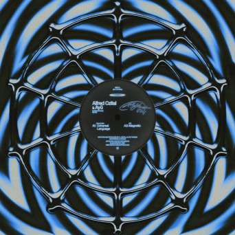 Alfred Czital, Ayū – Night Out