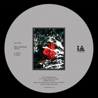Mari Mattham – Artico
