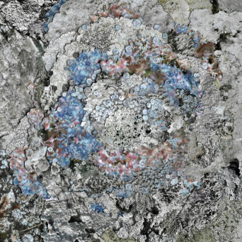 Kinzua – The Current Thing