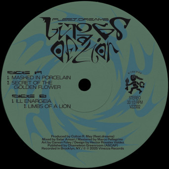 fleet.dreams – Limbs of a Lion