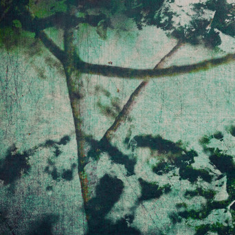 gyrofield – Suspension of Belief