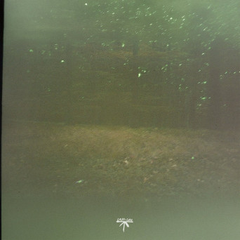 Arutani – Unfading Lines