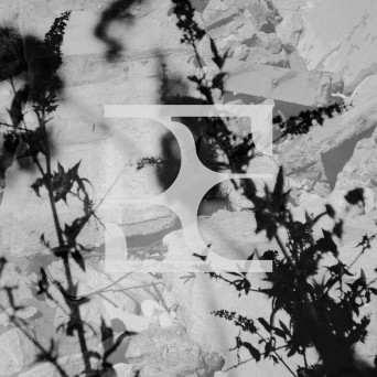 MXC – Black Label Series 08