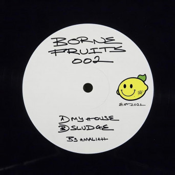 Amaliah – Borne Fruits 002