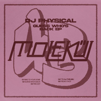 DJ Physical – Guess Who’s Back