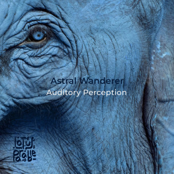 Astral Wanderer – Auditory Perception