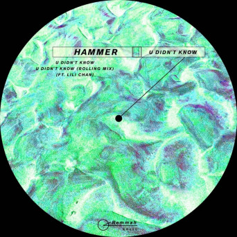 Hammer – U Didn’t Know