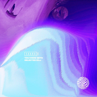 You Know Seth – Selected B1 EP