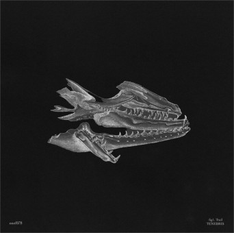 Trail – Tenebris EP