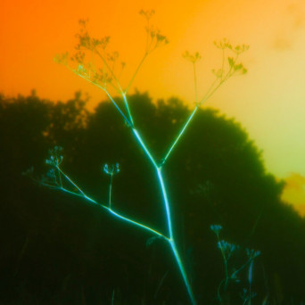 Ishmael Ensemble – Golden (Sunrise Mix)