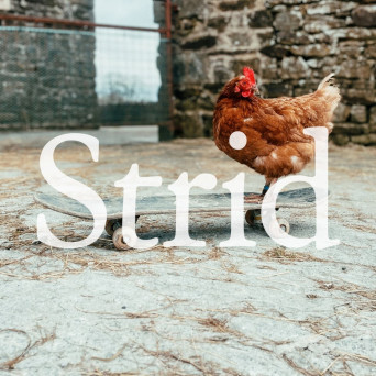 Faux Soul & Pete Davies – Here Regardless