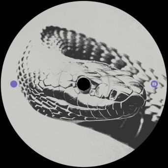 Rill – Friss