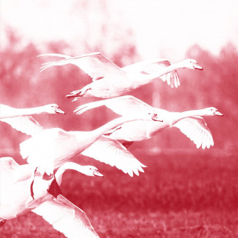 Mioche (DE) – Kummer (Remixes)