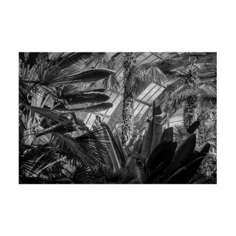 Crossover Network – Hedonic Adaption