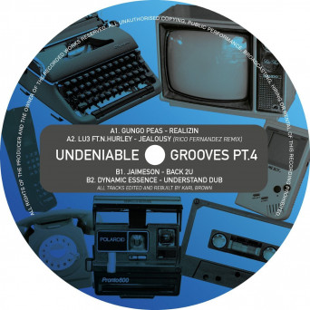 VA – UNDENIABLE GROOVES, Pt. 4