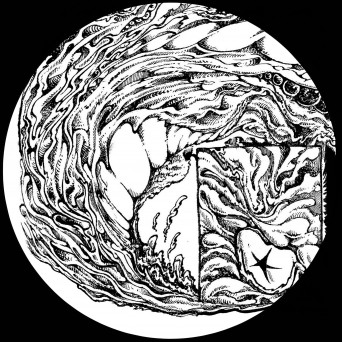 Toby Ross – Lifeforms / Visionary