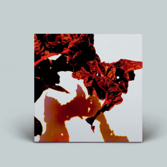 Cristoned – Rotation