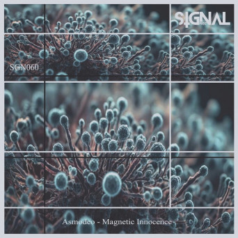 Asmodeo – Magnetic Innocence