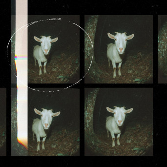 Anja Schneider – Scary Goat EP