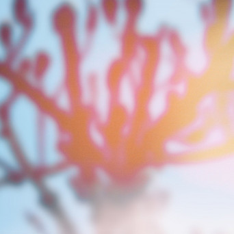 Jon Gravy – Promise