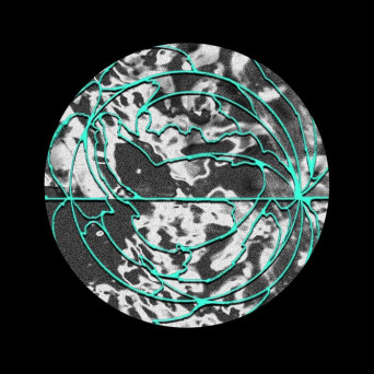 Source Code & Tinex – Seven Beers