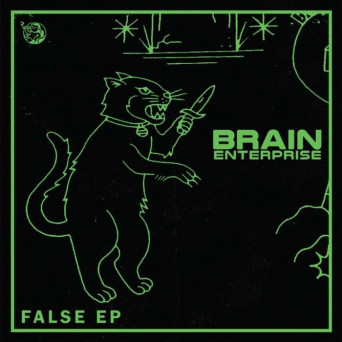 Brain Enterprise – False