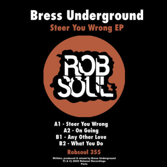 Bress Underground – Steer You Wrong