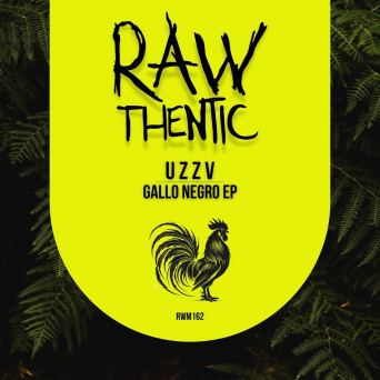 u z z v – Gallo Negro EP