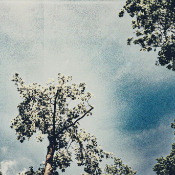 Alps 2 – Tell Me How