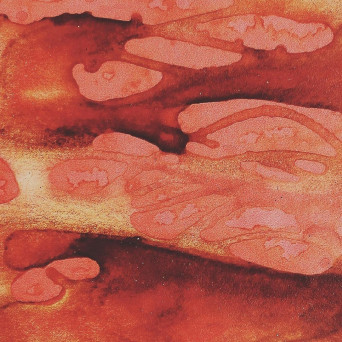 Drop-E – Empirical