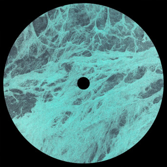 Josef Gaard – Twin Lines