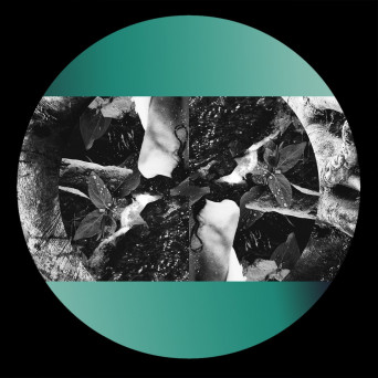 OFF / GRID – Back To Basics