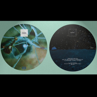 MarekSPolzki – Vibration Analysis