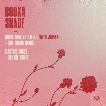 Booka Shade – Right Now (P.I.N. 4)  Electric Birds