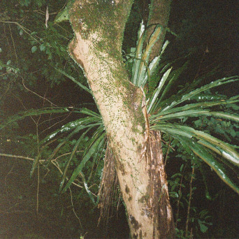 Artefakt – Collaborations II