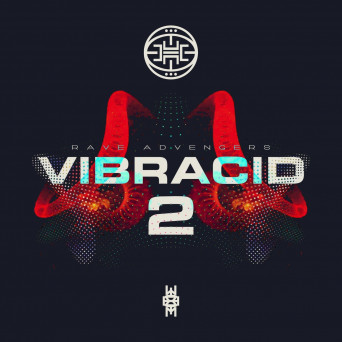 VA – VIBRACID 2 · RAVE ADVENGERS