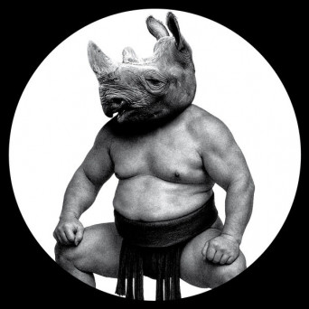 CONCEPTUAL (IT) – Between Sand and Roses