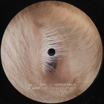 Braga Circuit – Fall