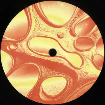 Donnie Cosmo – Space Time Surfer