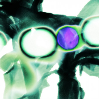 Varuiys Artists – KYSH-001