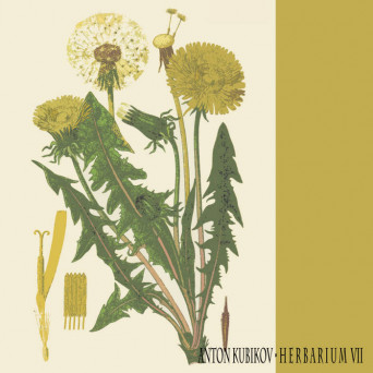 Anton Kubikov – Herbarium VII