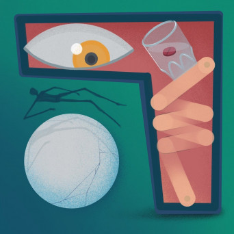 Teik Arô – The Unseen Garden