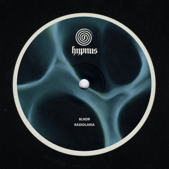 BLNDR – Radiolaria
