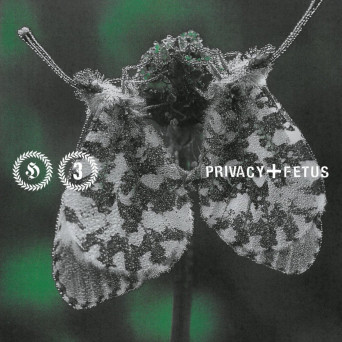 Privacy + Fetus – H301 Herrensauna